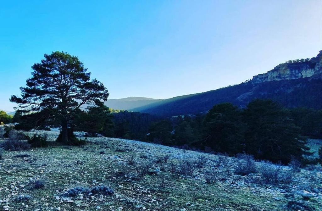 טראגאצטה Alojamiento Rural Los Gancheros מראה חיצוני תמונה
